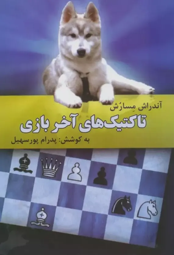 تاکتیک های آخر بازی